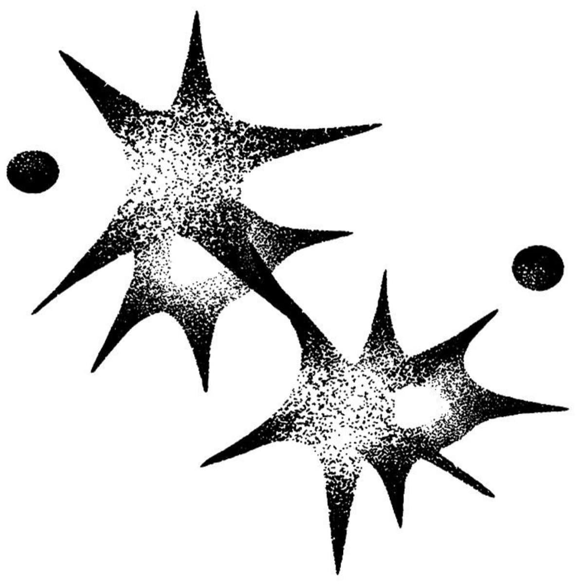 Black Purple Branding