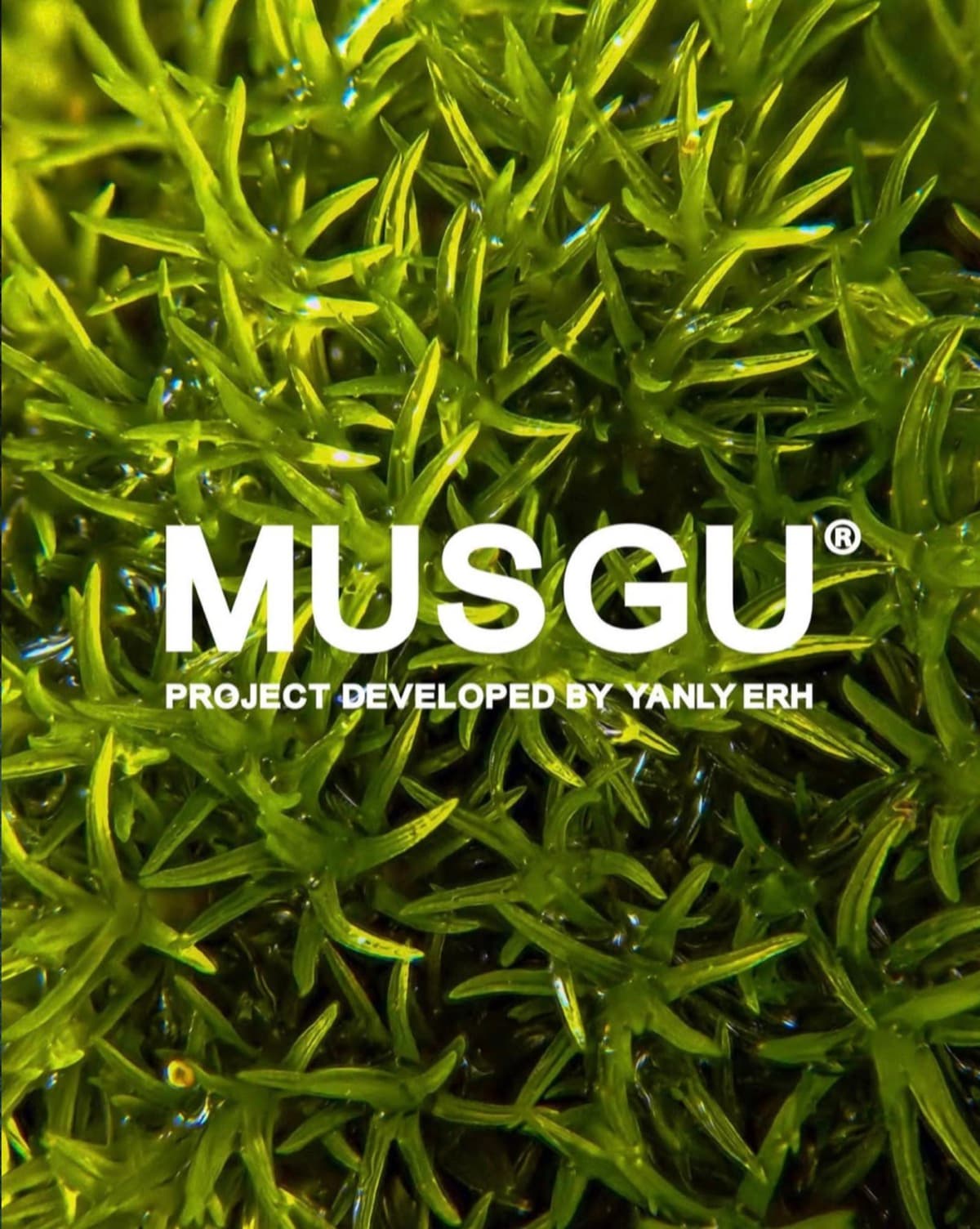 MUSGU