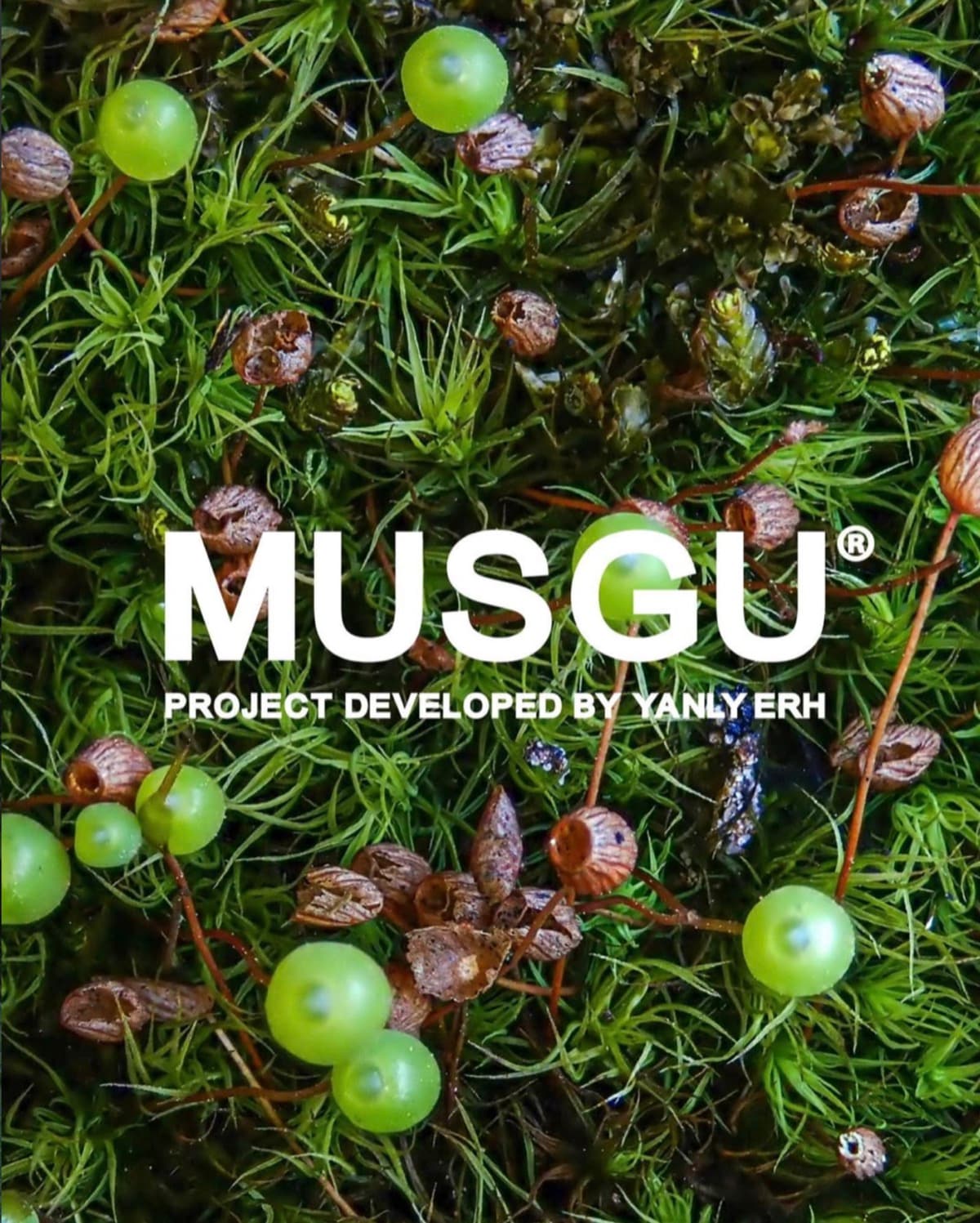 MUSGU