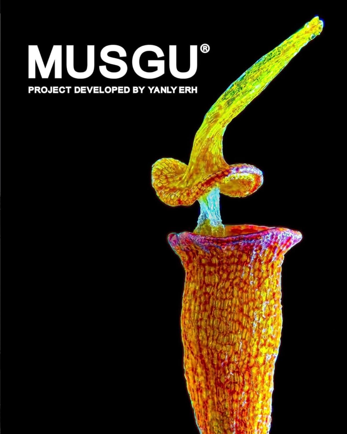 MUSGU