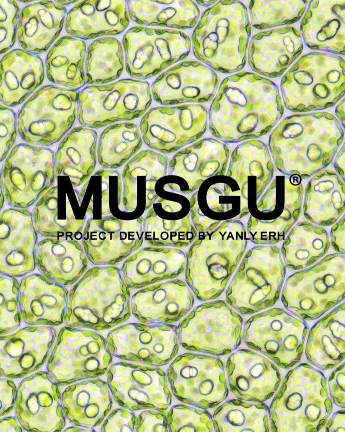 MUSGU