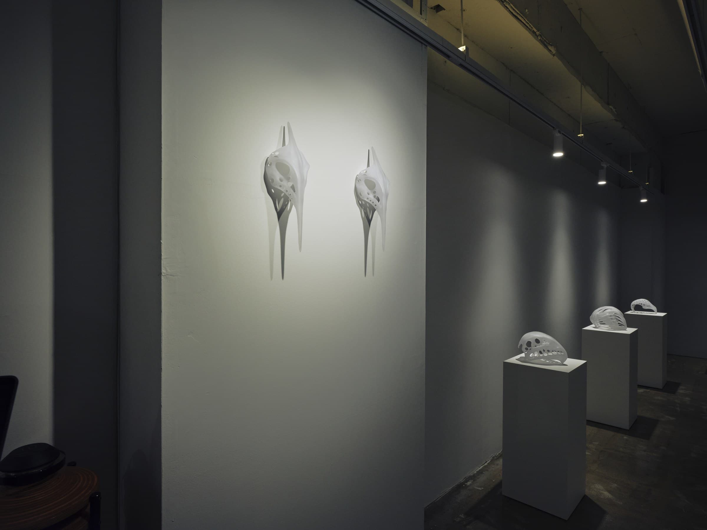 Second Anatomy