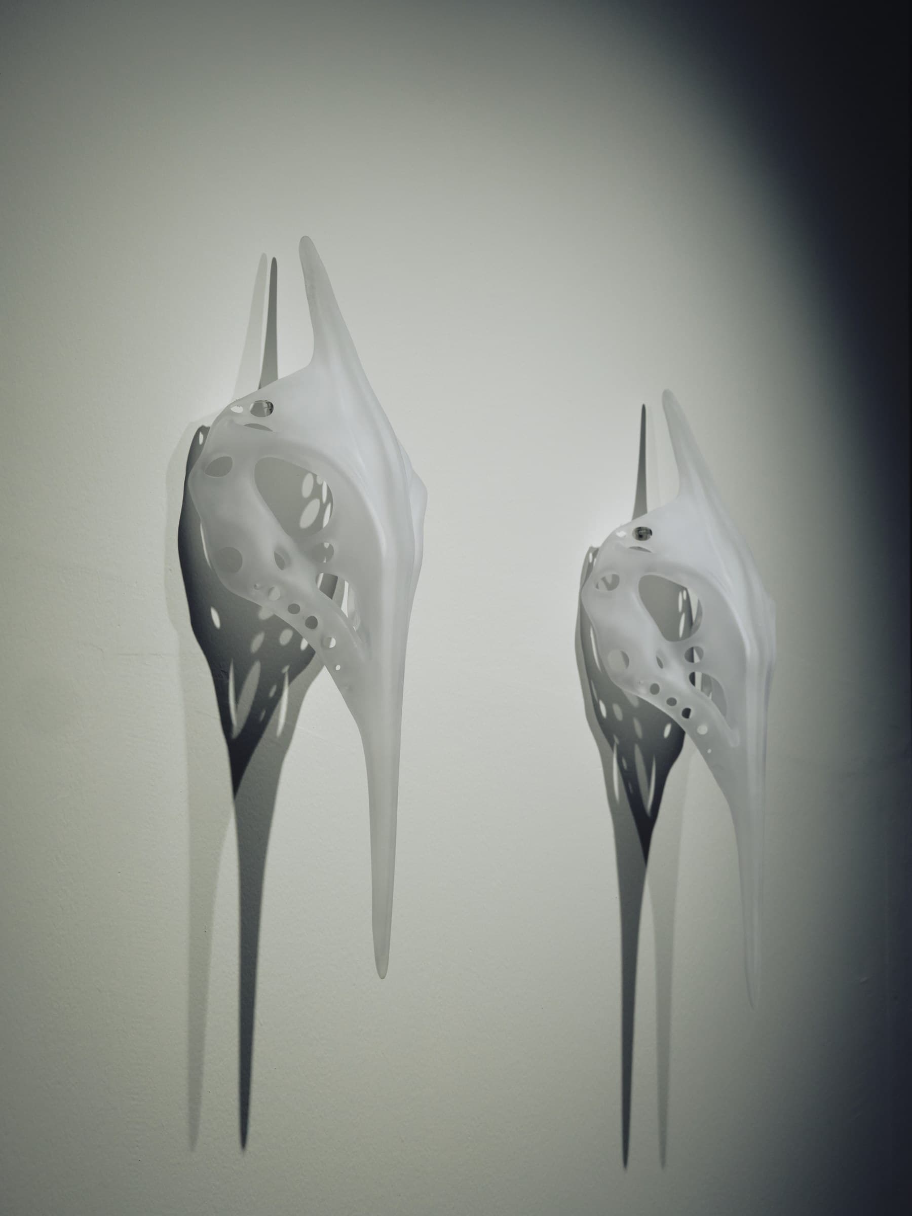 Second Anatomy
