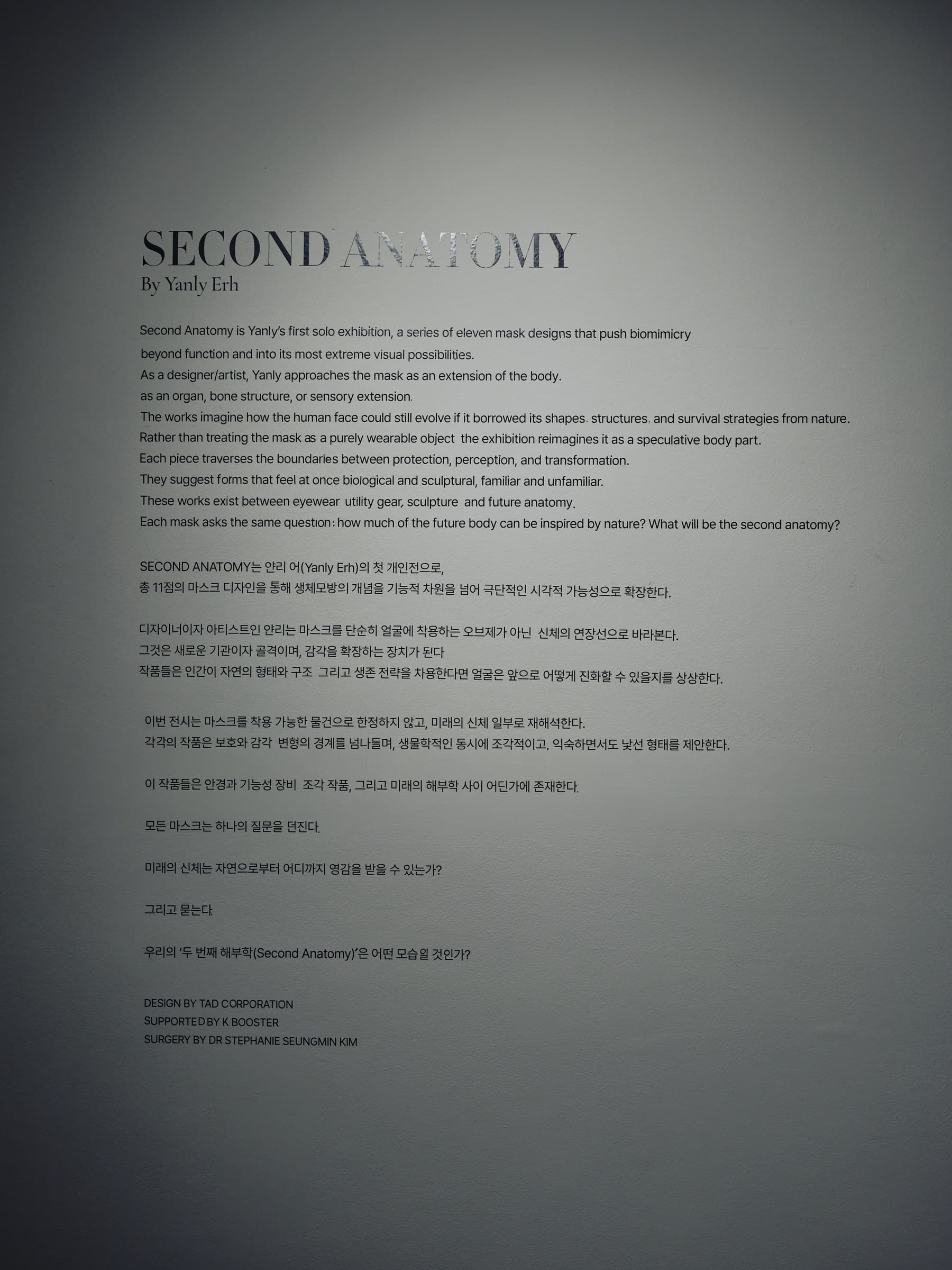 Second Anatomy